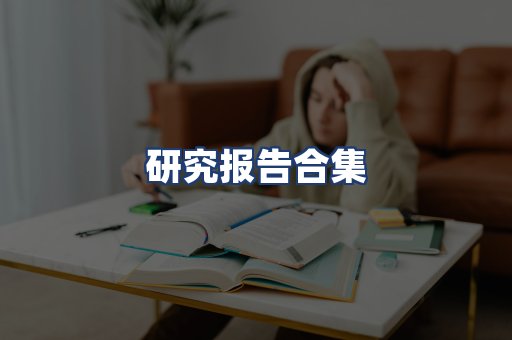 研究报告合集