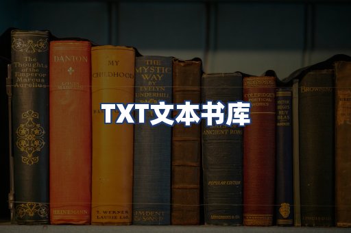 TXT文本书库
